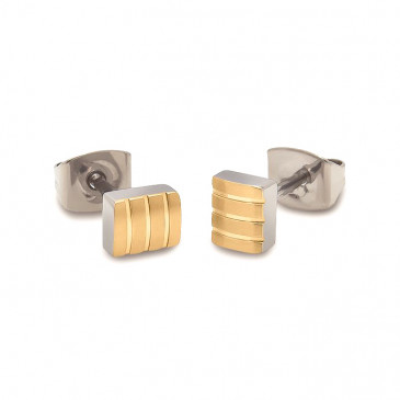 clous d'oreilles titane