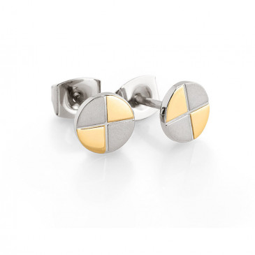 Clous oreille titane